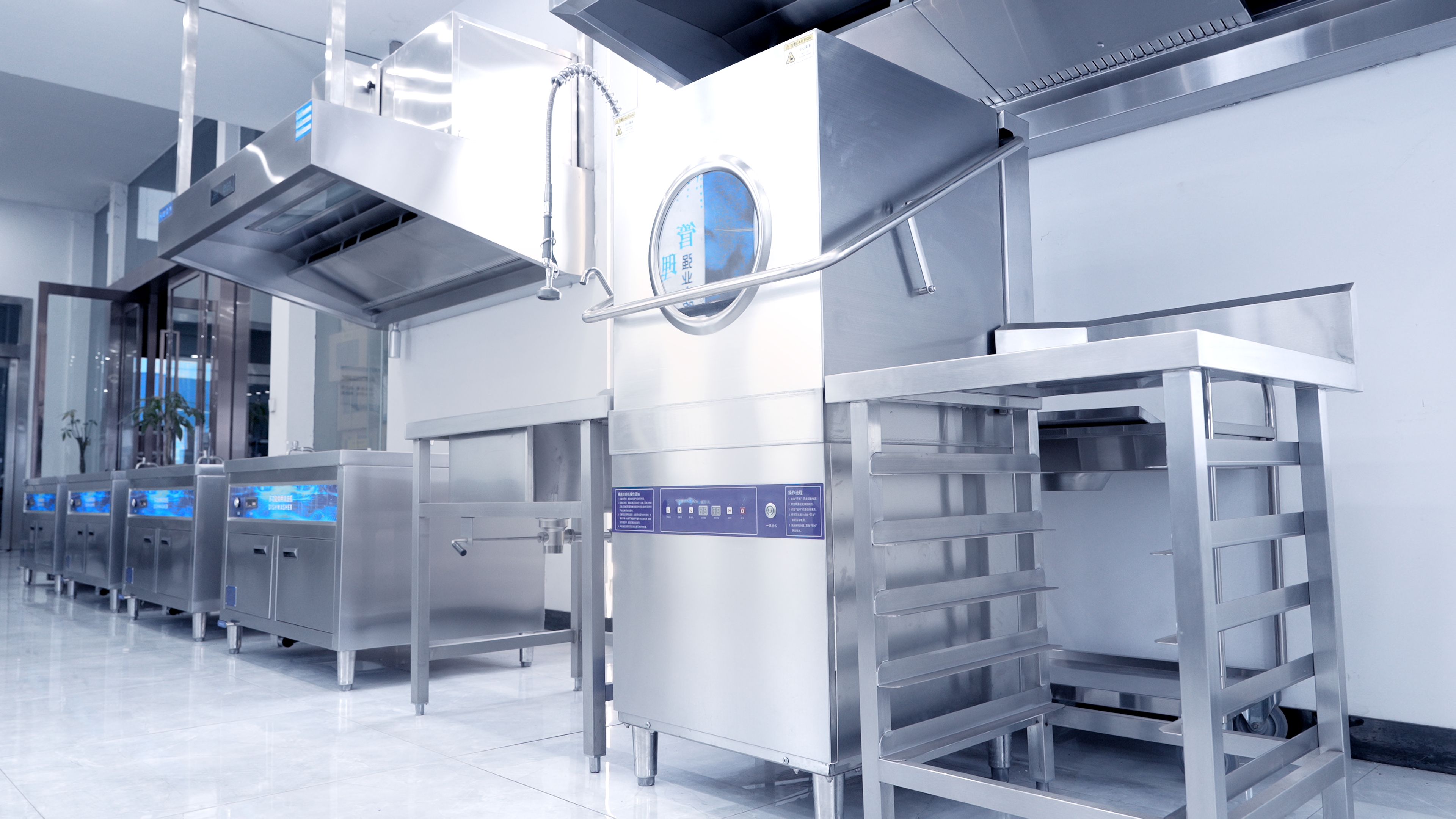 Hood-Type Dishwasher